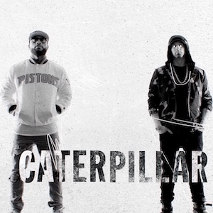 Caterpillar cover