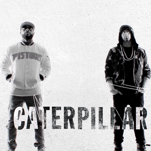 Caterpillar cover