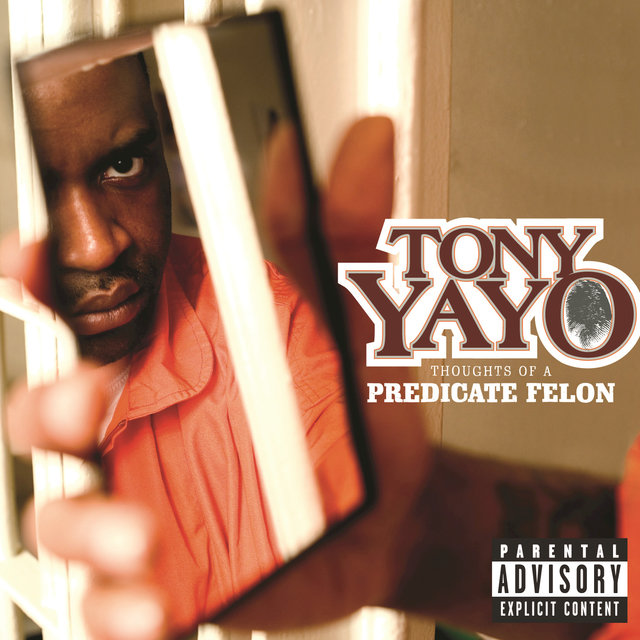 Thoughts of a Predicate Felon cover