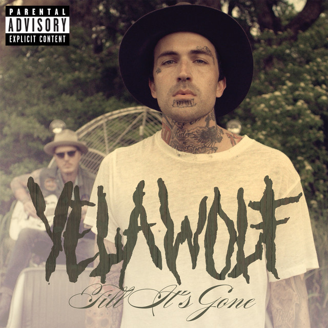 Till It’s Gone cover