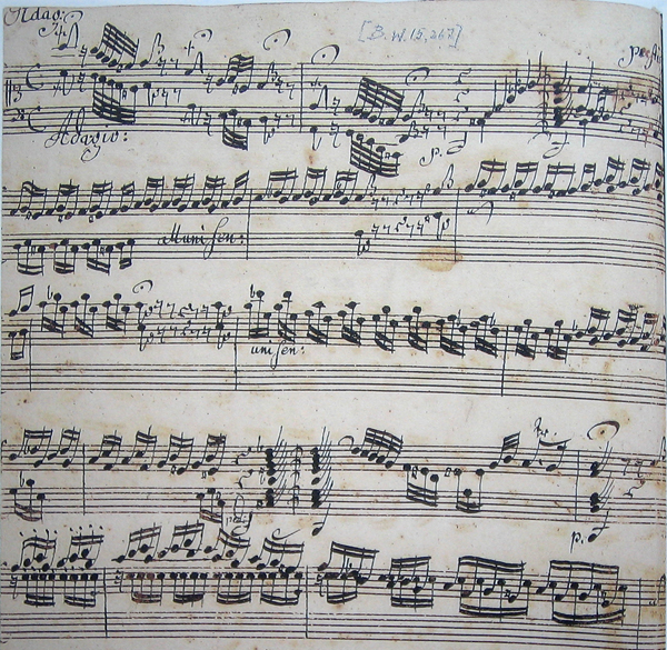 Toccata and Fugue In D Minor cover