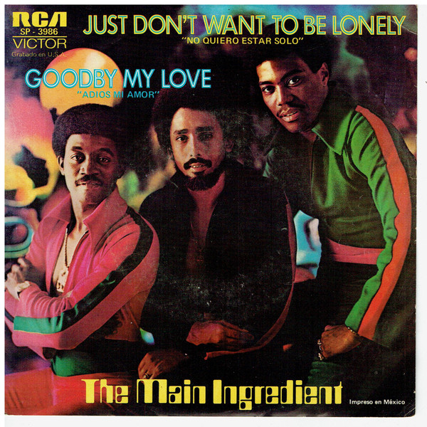 Just Don’t Want To Be Lonely cover